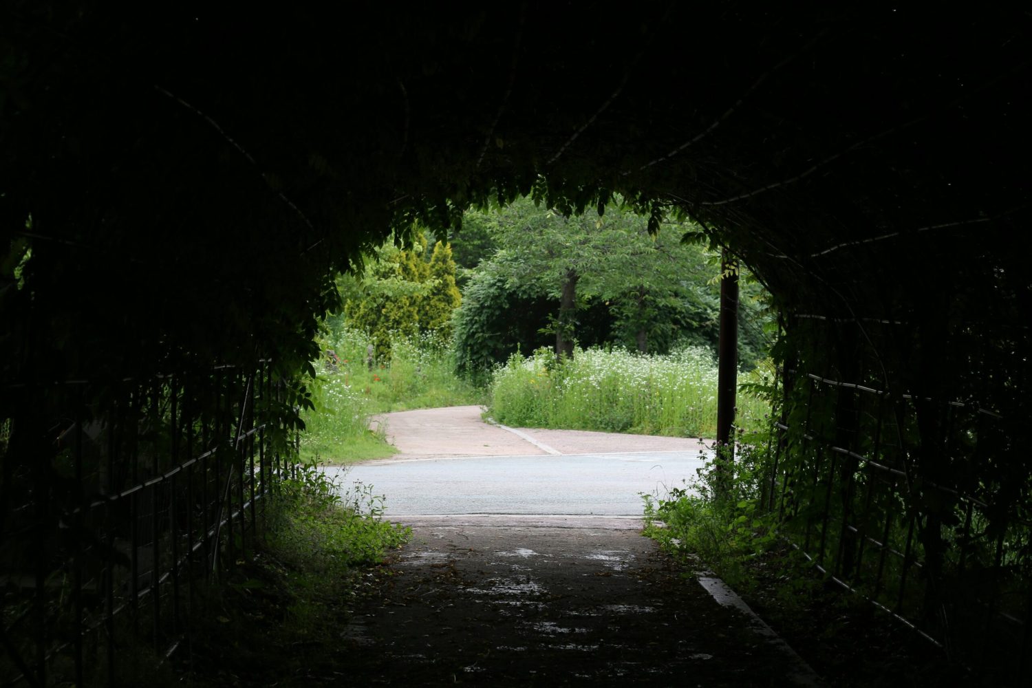 Passage sombre ouvrant sur un chemin bordé de végétation