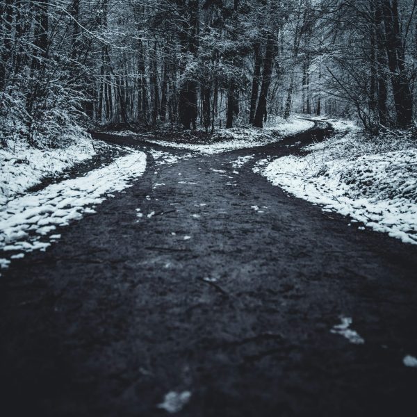 Chemin sombre traversant une forêt enneigée